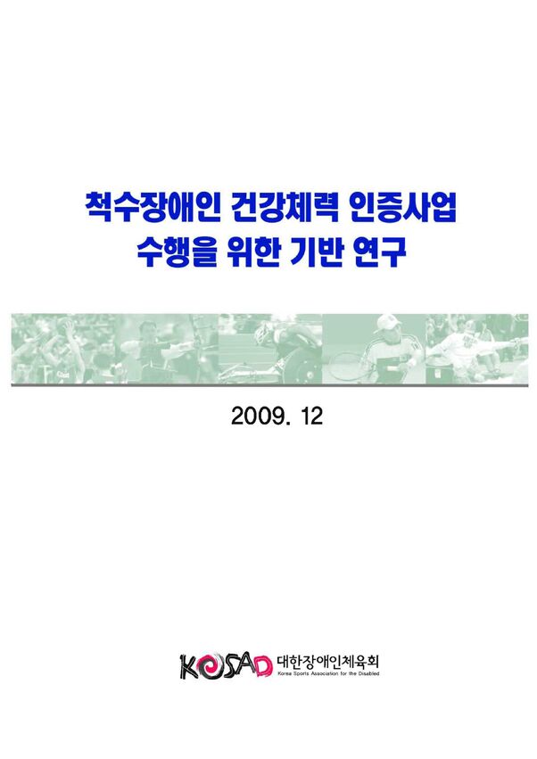 2009 척수장애 최종보고서 표지